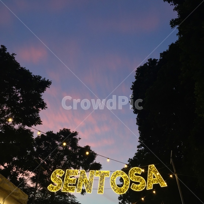 센토사,sentosa,밤하늘,노을,감성