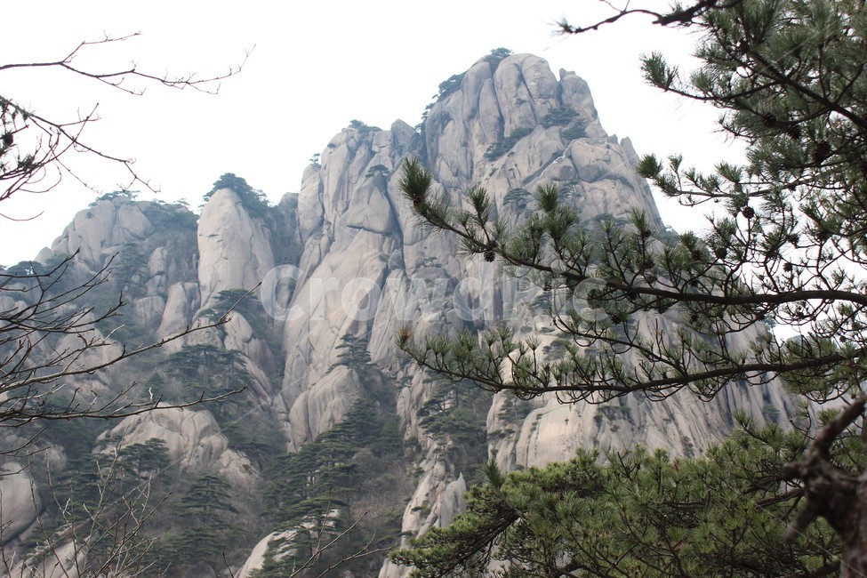 산,나무,돌산,풍경,소나무