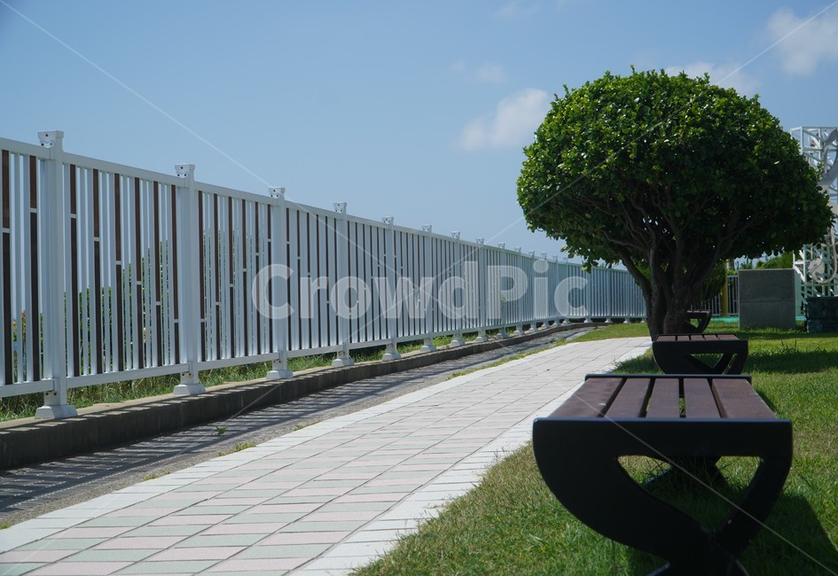 나무,벤치,의자,울타리,tree,bench,fence,grass,잔디,chair,nature,sky,blue,green,하늘,구름