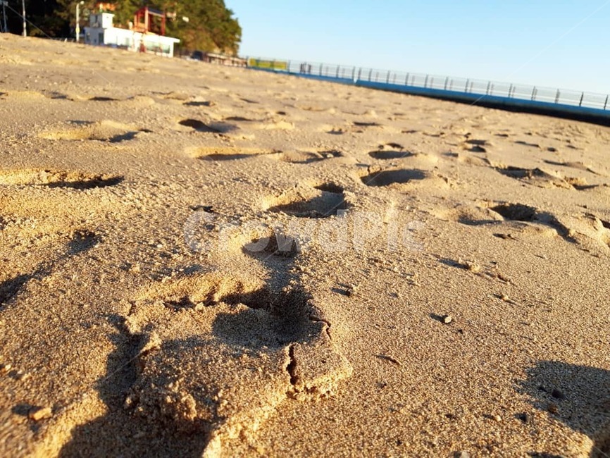 모래,발자국,진흙,pull,foot,footprint,mud,mudflat