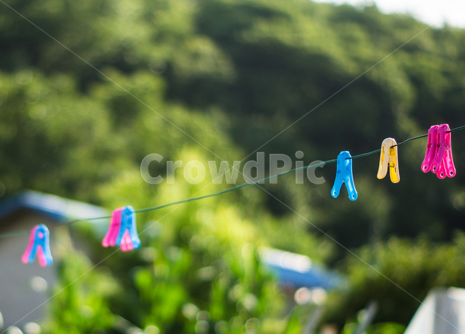 peg,clothespin,Wash,clothesline,laundry,tongs,housework