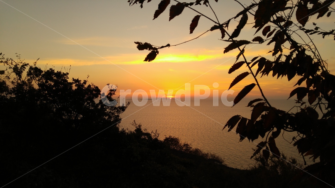 노을,석양,낙조,일몰,해질녘,해넘이,asettingsun,sunset,저녁노을,이미지,풍경,바다,백수해안도로,아쉬움,붉은하늘,땅거미,나무실루엣,twilight,자연,풍경,nature,landscape,실루엣,그림자,silhouette,shadow,sunlight,햇빛,outdoors,옥외,red sky,붉은 하늘,sky,하늘,dusk,황혼,dawn,새벽