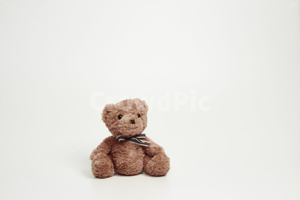 곰,곰인형,인형,완구,장난감,어린이,사물,물건,오브젝트,thing,objectmatter,누끼,흰색,배경,합성,귀엽다,예쁘다,브라운,리본,눈,코,입,앉다,어린이,어린아이,child,children,kid,사물,물건,오브젝트,thing,object,matter,누끼,remove background
