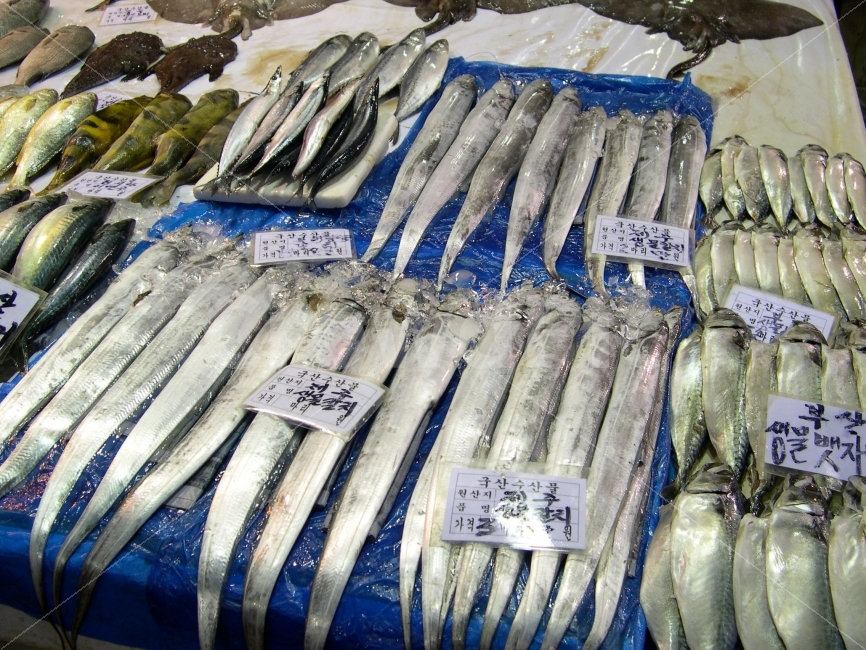 갈치,생선,물고기,시장,수산시장,전시,식재료,hairtail,fish,시장,마트,마켓,market,mart,market place,음식,식재료,요리,food,cook,meal,dishes,food reserves,수산물,해산물,fishery products,seafood
