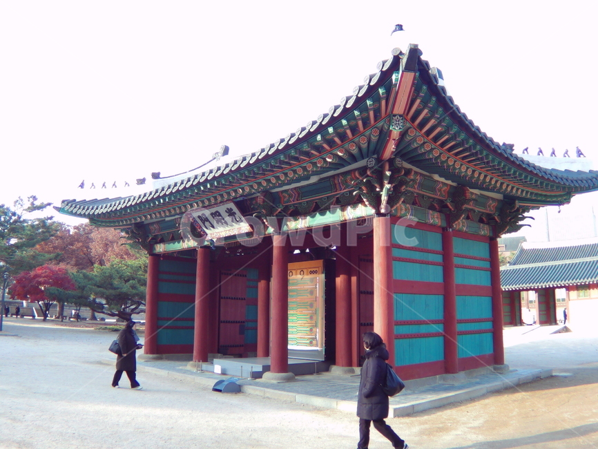 덕수궁,한옥,덕수,궁궐,조선,조선시대,건축,건축물,한국,조선건축물,기와집,기와,서까래,문,대문,기둥,나무집,목조,목조건물,목조집,나무로만든,나무의,재질,유네스코,유산,문화,역사