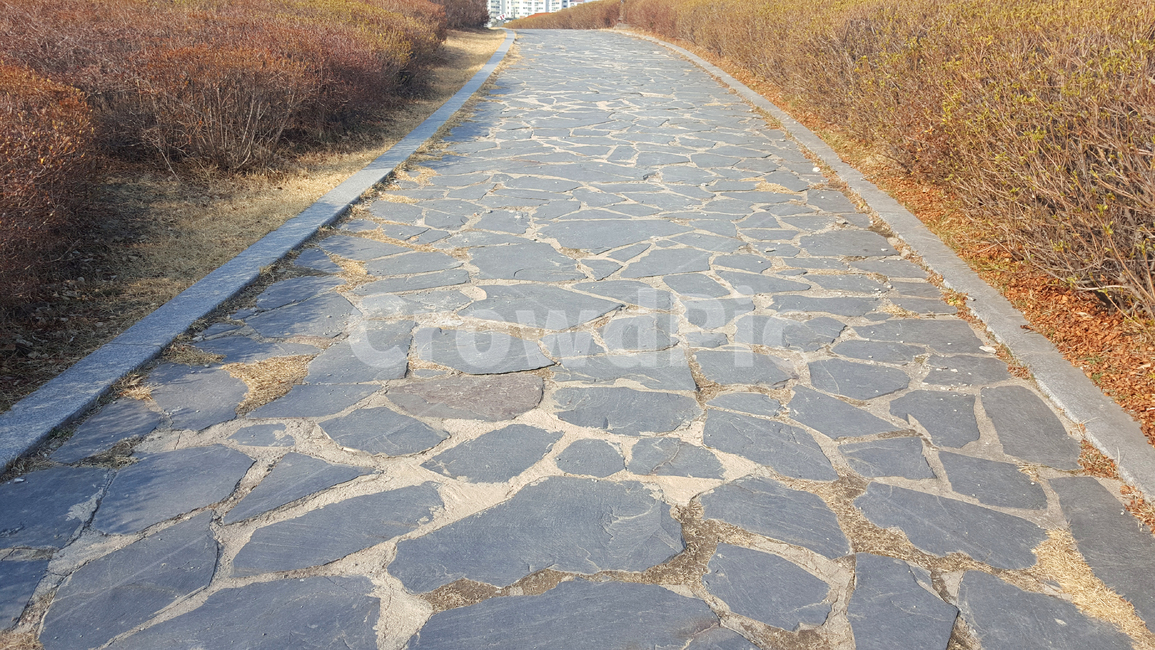 돌,잔디,건축물,자연,스크래치,패턴,식물,단단함,디자인,공원,겨울,봄,stone,grass,architecture,nature,scratch,pattern,plants,rigidity,park,winter,spring,자연,풍경,nature,landscape,flagstone,판석
