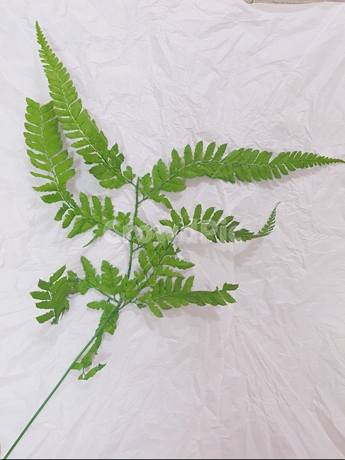꽃,풀,조화,꽃다발,flower,bundle,꽃,flower