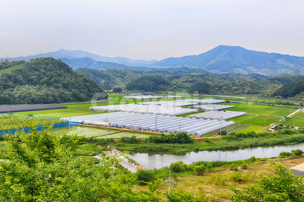 House complex,plastic house,House,House cultivation,vinyl