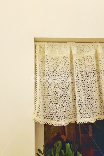 커튼,분위기,화분,벽면,white,인테리어,실내디자인,interior design