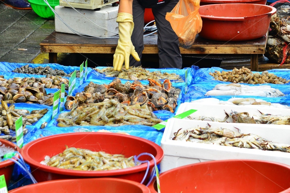 market,plant,식물,food,음식,시장,재래시장,전통시장,노점상,좌판,bowl,사발,human,인간,person,사람,미더덕,소라,꽃게
