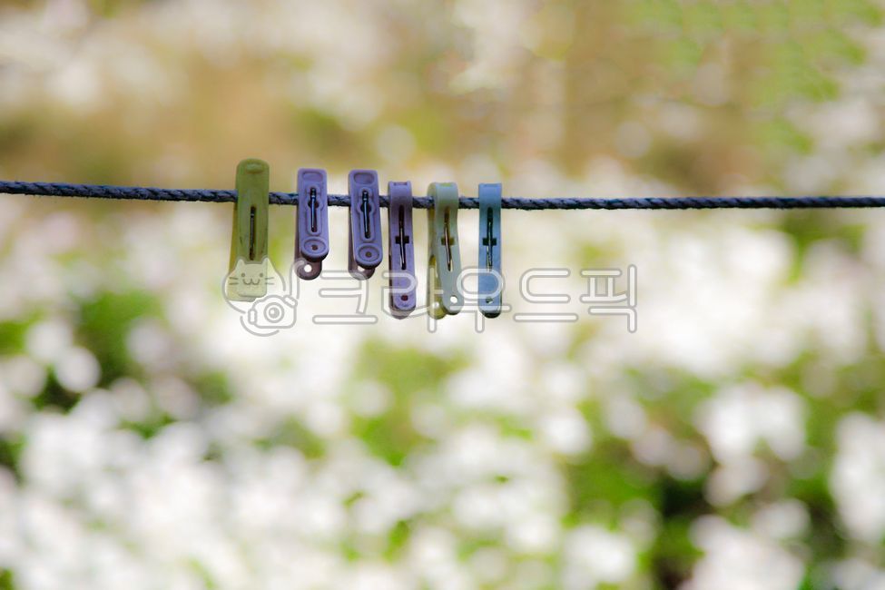 green,nature,tongs,blue,clothespin,light green,clothesline,background,purple