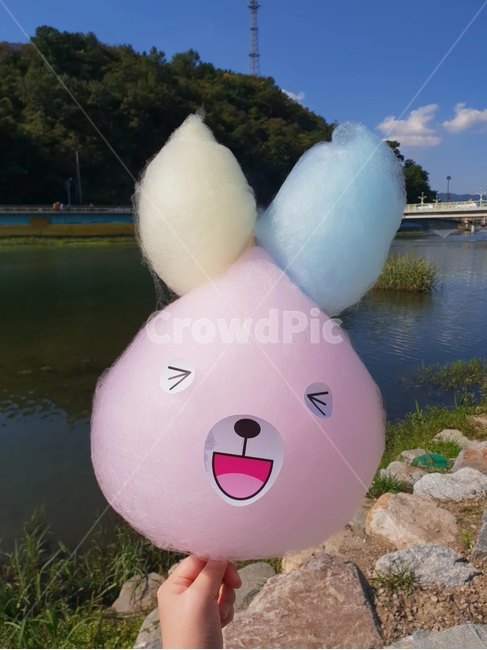 솜사탕,토끼,감성사진,추억,어린이,달콤한,행복한,음식,식재료,요리,food,cook,meal,dishes,food reserves,디저트,간식,후식,dessert,snack