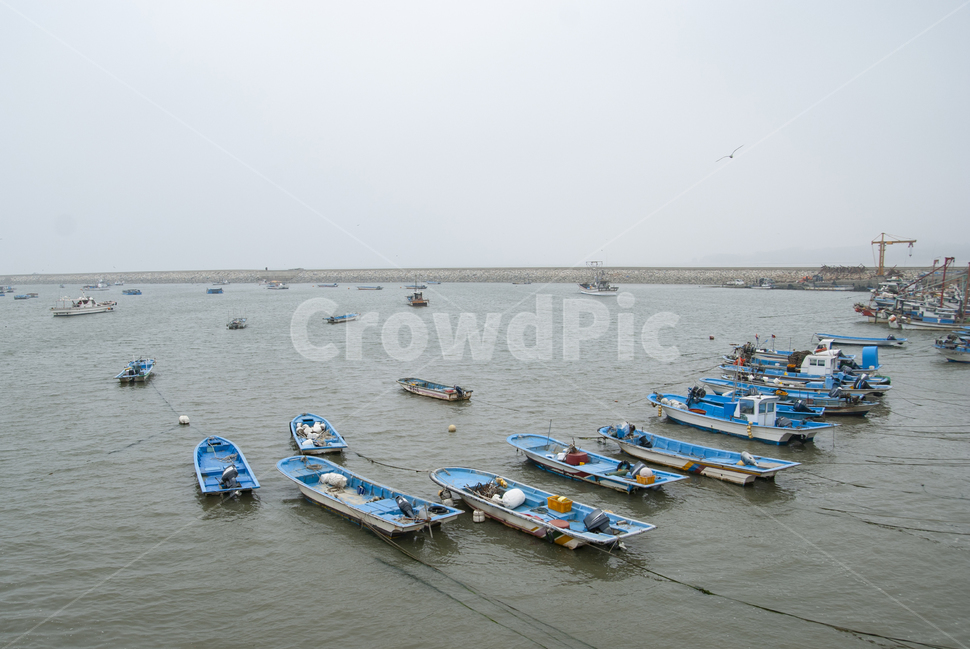 궁평항,서해바다,낚시배,고깃배,고기잡이,항구,썰물,밀물,보트,boat,산업,industry,industrial,어업,fishery,fishing industry