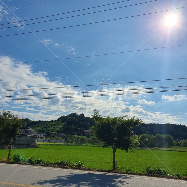 햇빛,경치,구름,하늘,풍경