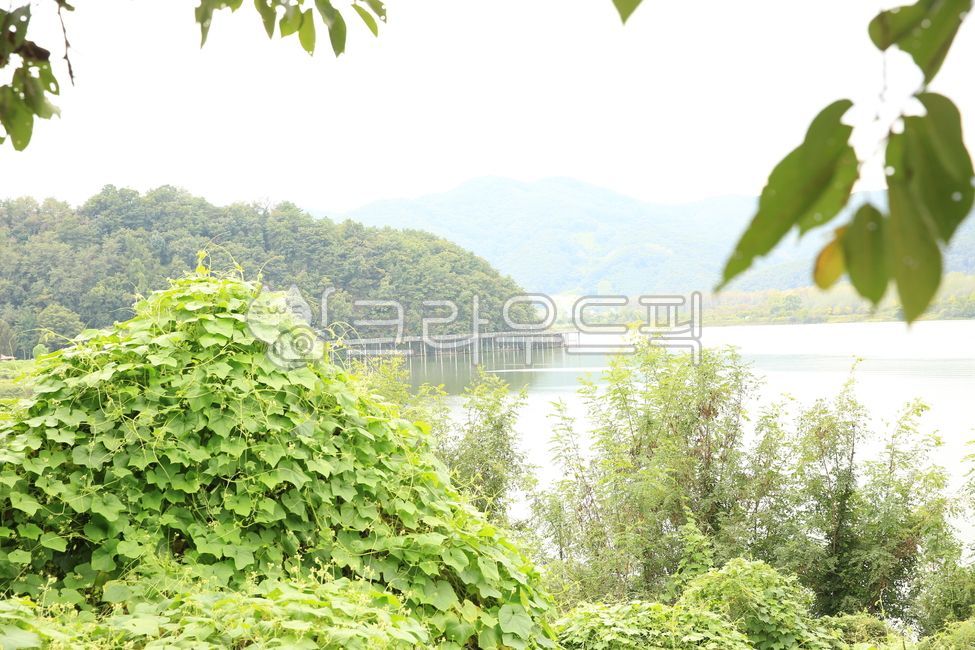 풍경,강물,강가풍경,자연의,자연
