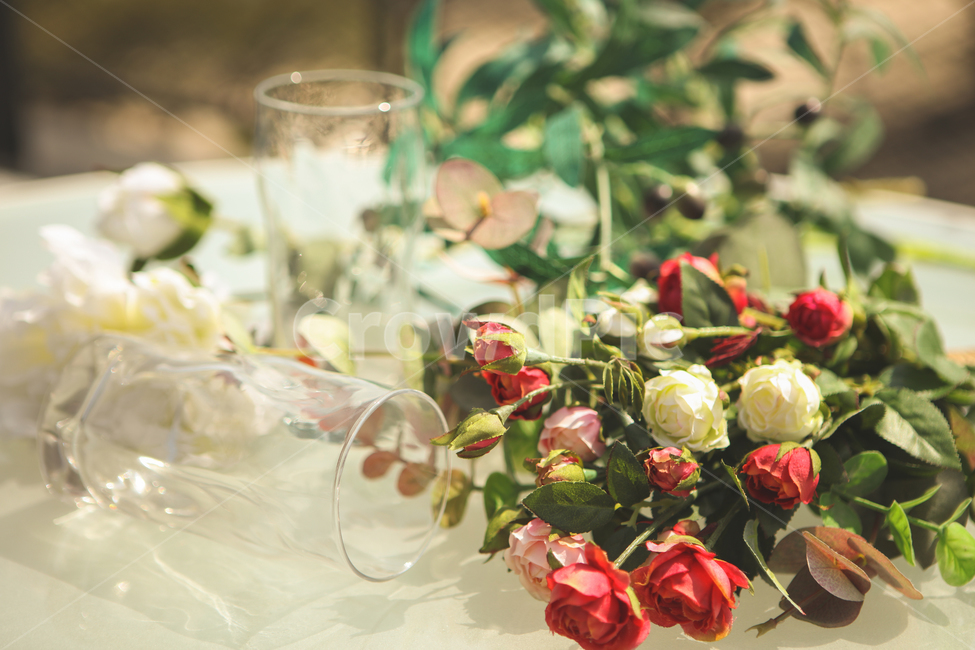 꽃,유리병,카페,화분,인테리어,물컵,plant,식물,flower,blossom