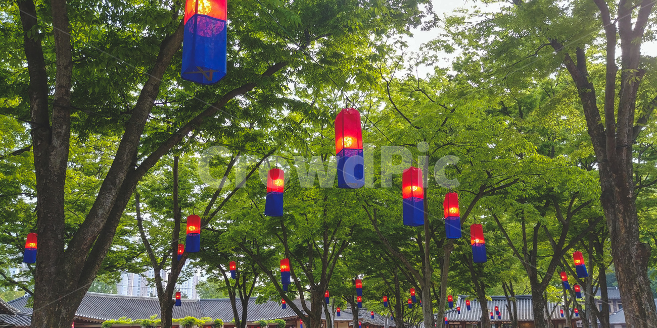 청사초롱,한국민속촌,용인민속촌,초롱,등불,한국문화