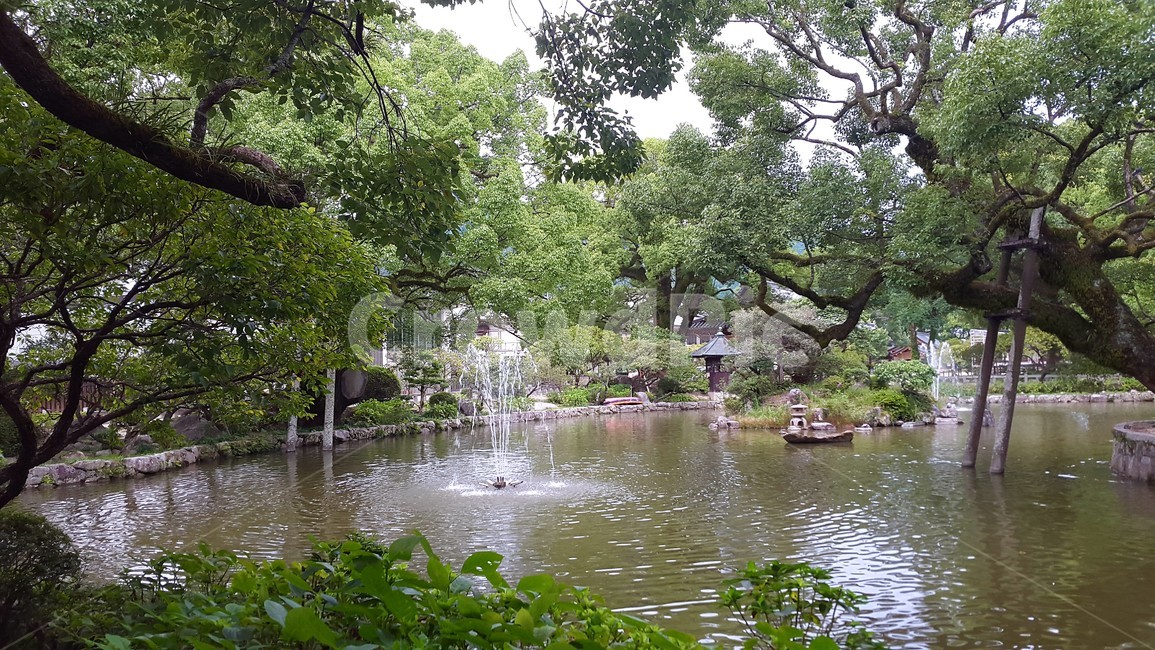 호수,풍경,나무,정원,봄,자연,풍경,nature,landscape,water,물,outdoors,옥외