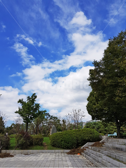 공원,호수,하늘,구름,나무,tree,맑은날,파란하늘,산책,산책로,park,landscape,풍경,자연,nature,파랑,계단