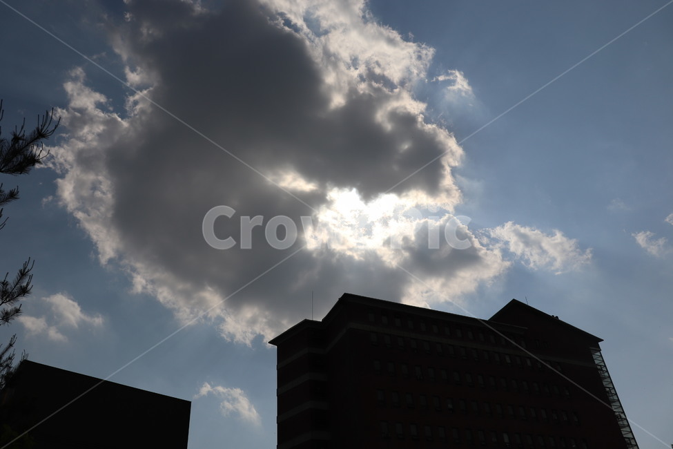 하늘,구름,sky,cloud,blue,공원,맑은,park