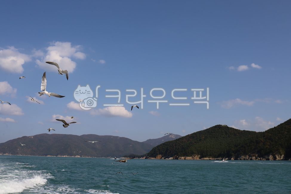 바다,소매물도,갈매기,가을바다,하늘