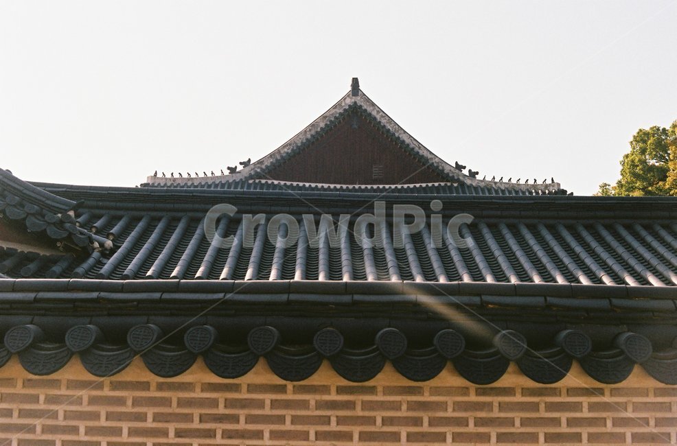 기와,지붕,궁궐,한국,한국적인,대칭,필름,필름사진,한국전통,한국문화,korean traditional,korean culture