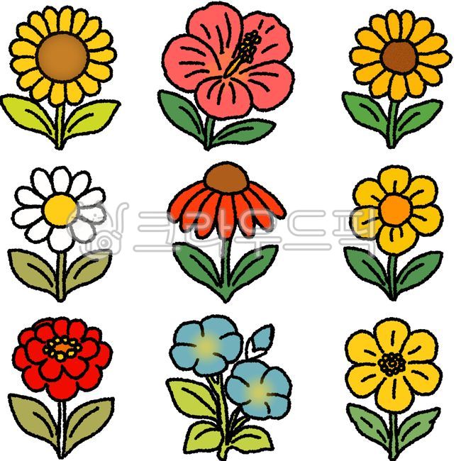 여름,여름꽃,식물,꽃,해바라기,데이지,히비스커스,금잔화,금영화,모닝글로리,백일홍,가자니아,에키네시아,노란꽃,붉은꽃,푸른꽃,흰꽃,스티커,데코레이션,꾸미기,여름장식