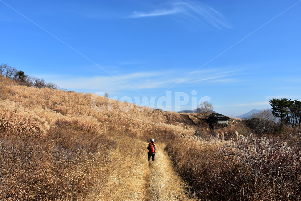 유명산,마유산,억새,가을,풍경,자연,하늘,감성,힐링,아름다운,구름,파란,가을,계절,fall,autumn,season,자연,풍경,nature,landscape,outdoors,옥외,road,도로,dirt road,흙길,gravel,자갈