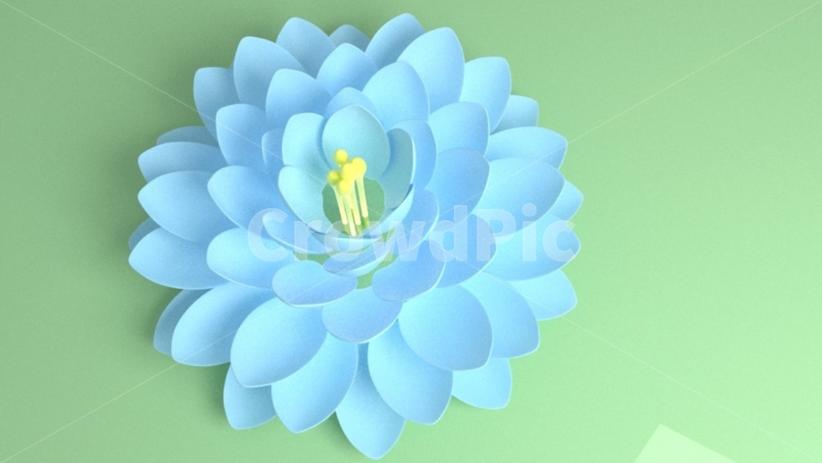 연꽃,파란,3d,plant,식물