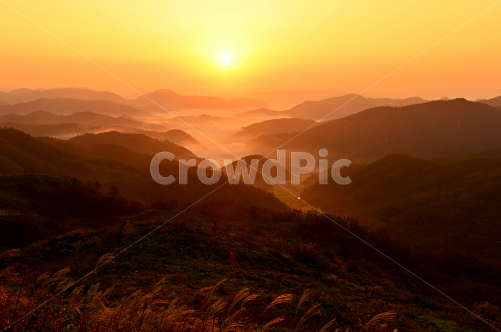 전남,영암,서광목장,아침,일출,가을,억새,항금색,nature,자연,outdoors,옥외,포인트,산그리매,자연,풍경,nature,landscape,한국자연풍경,한국자연경관,korea nature landscape