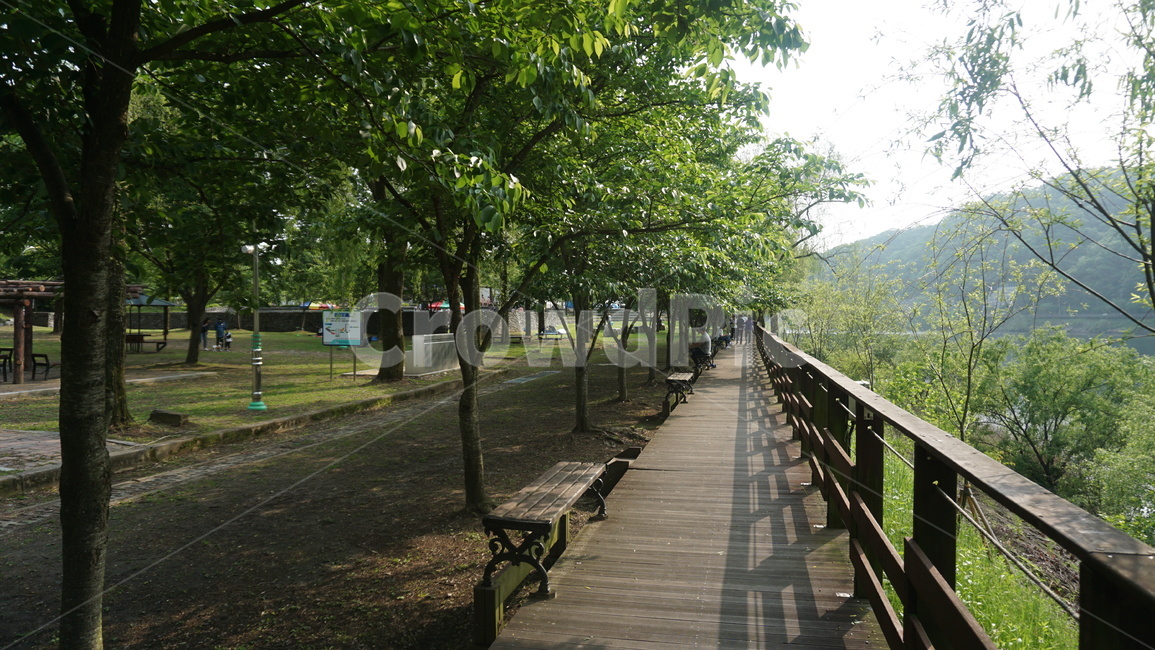 자연,공원,나무,벤치,숲,산책,자연,풍경,nature,landscape