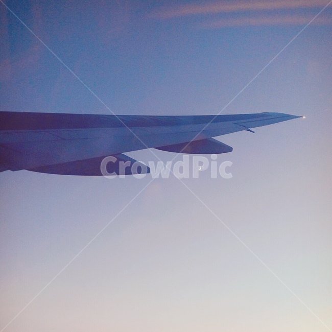 비행기,날개,moon,sky,cloud,저녁하늘,비행,교통,교통수단,traffic,transportation