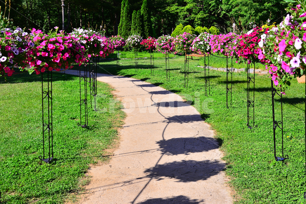 꽃길,꽃,길,봄꽃,잔디밭,flowers,road,garden,park,beautiful,숲길,정원,가든,꽃밭,조경,장식,데코레이션,화단,화분,숲,공원,파크,플라워,아름다운,로드,워킹,산책,휴식,행복,해피,뷰티풀,green,산책로,힐링,healing,자연,풍경,nature,landscape,식물,plants,꽃,flower,outdoors,옥외,plant