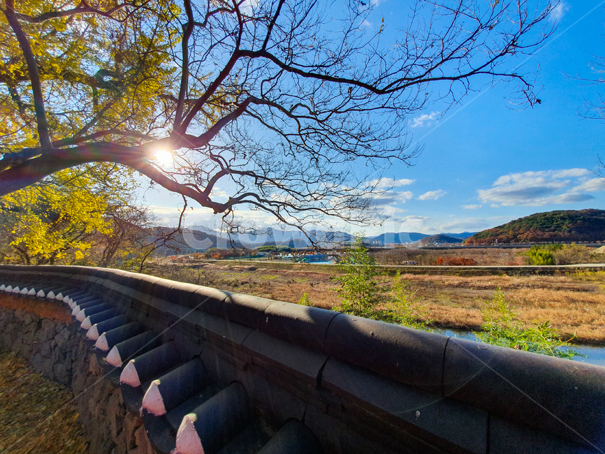 nature,자연,river,강,water,물,outdoors,옥외,나무,풍경,가을,계절,fall,autumn,season,자연,풍경,nature,landscape