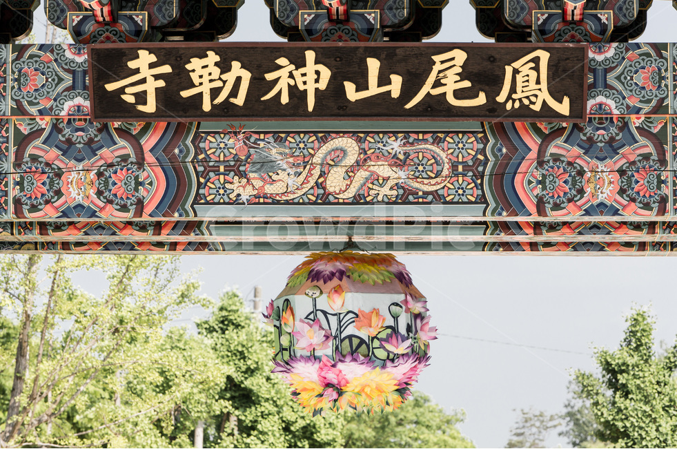 사찰,문화재,단청,문양,무늬,전통,한국전통,한국문화,korean traditional,korean culture,종교,신앙,religion,belief,faith