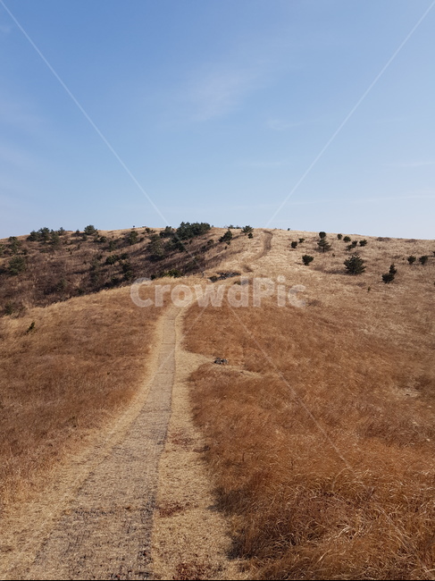 따라비오름,오름,제주도오름,갈대밭길,따라비,갈대,하늘,파란하늘,맑은하늘,산길,산정상,정상,제주도,jeju,jeju island,ground,바닥,dirt road,흙길,gravel,자갈,road,도로,outdoors,옥외,nature,자연