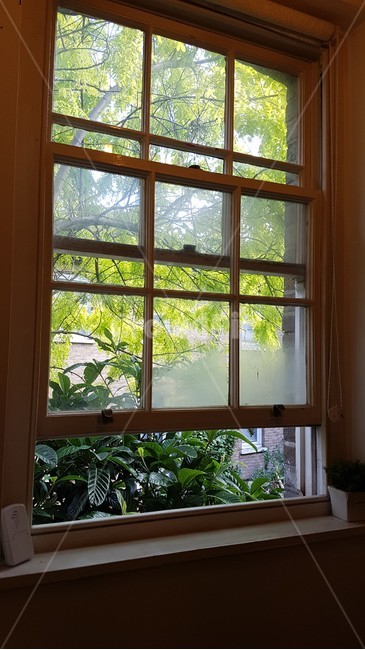 유럽,런던,창문,비파나무,자연,숙소,인테리어,실내디자인,interior design