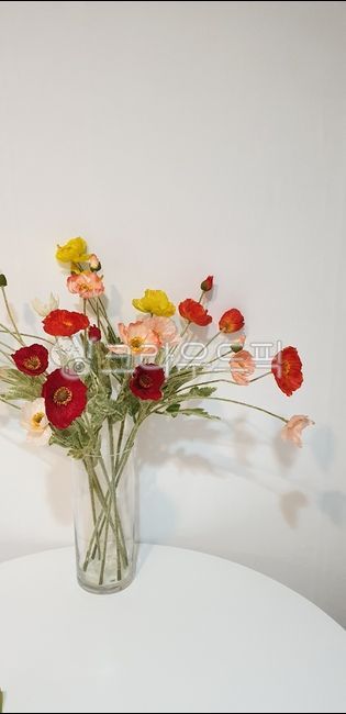 양귀비,조화,꽃병,화병,꽃,식물