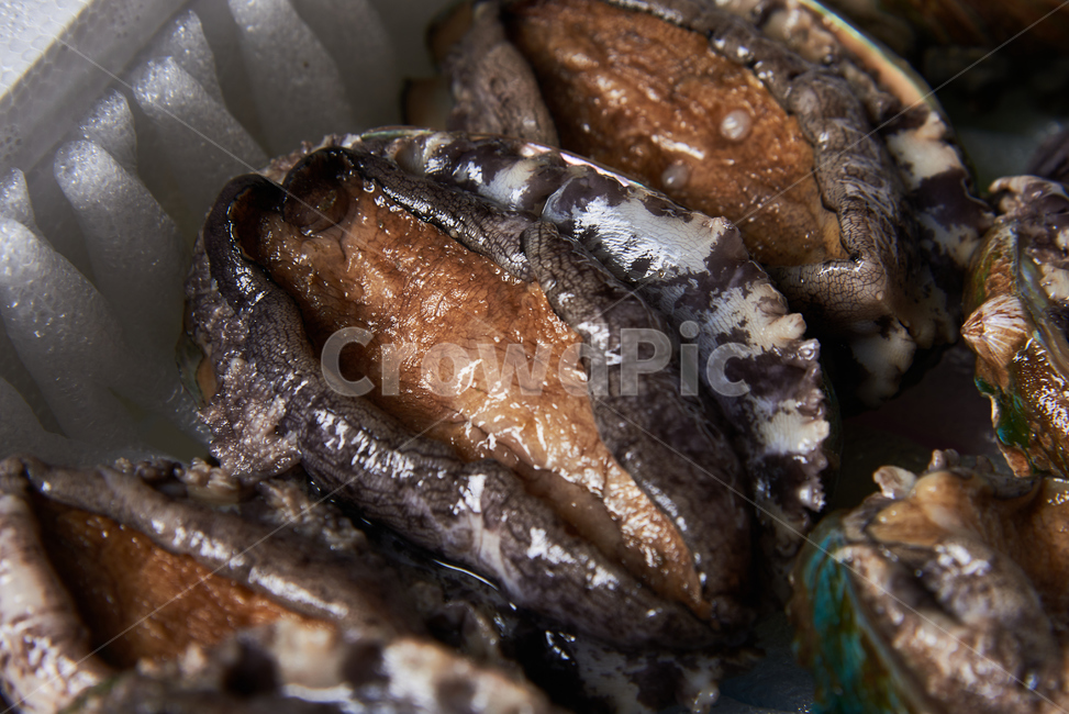전복,seafood,해산물,clam,갑각류,음식,식재료,요리,food,cook,meal,dishes,food reserves,수산물,해산물,fishery products,seafood