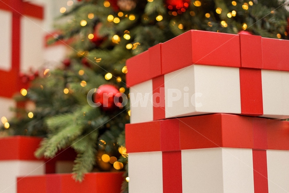 크리스마스,겨울,트리,크리스마스트리,연말,xmas,선물상자,메리크리스마스,성탄절,merry christmas