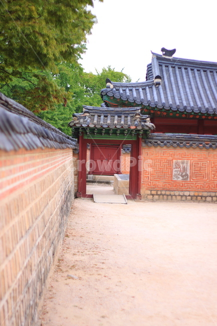 경복궁,풍경,문,지붕,나무,한국전통,한국문화,한국명소,건물외관,건축물,자물쇠,빗장,koreantraditional,koreanculture,landmarkexterior,building,structure,architecture,construction