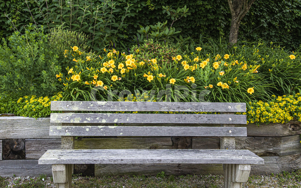 furniture,가구,bench,벤치,쉼터,꽃,노란,봄,여름,수선화,rest,seat,spring,flowers,yellow,daffodils,nature