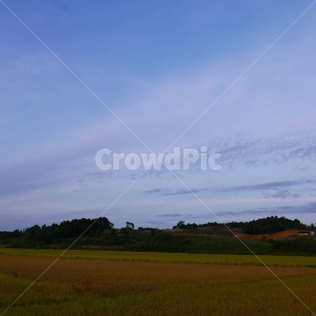가을,하늘,해질녘,풍경사진,가을사진,자연,풍경,nature,landscape,outdoors,옥외,field,들