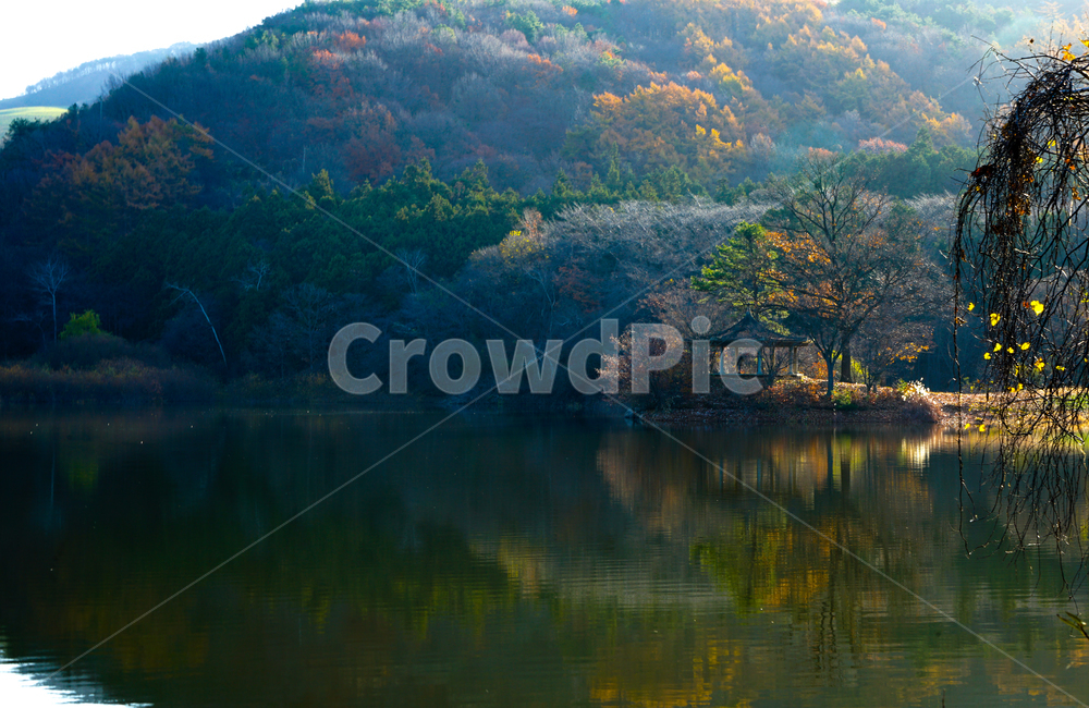호수,가을,반영,투영,풍경,계절,단풍,나무,숲,가을,계절,fall,autumn,season,자연,풍경,nature,landscape,water,물,outdoors,옥외
