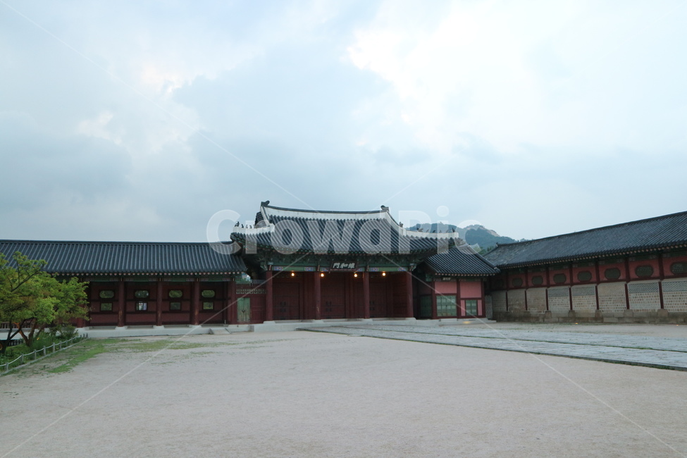 경복궁,경복궁야간개장,광화문,문화재,궁궐,랜드마크,한국의랜드마크,대한민국역사박물관,한국문화,한국전통,역사,궁,서울,서울밤,야경,서울야경,기와,건축,건축물,건물,한국적,한국역사,조명,전통,전통적인,전통무늬,처마,왕,왕비,왕족,근현대사,문화,명성황후,고종,근정전,어도,조정,을미사변,웅장한,궁녀,koreantraditional,korean,seoul,nightview,night,gyeongbokgung,palace,culturalheritage,landmark,gwanghwamun,tradition