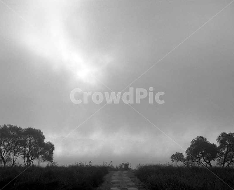 물안개,안개,물의정원,남양주,일출,아침,흑백필름,필름,자연,풍경,nature,landscape,한국자연풍경,한국자연경관,korea nature landscape,흑백,모노톤,monochrome,black and white,weather,날씨