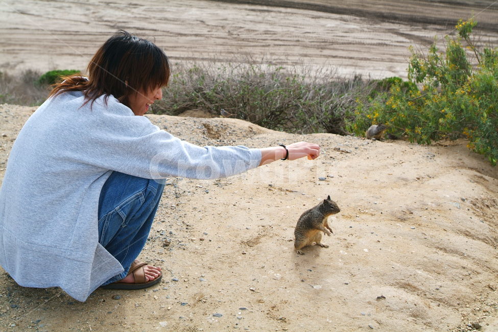 squirrel,america,us,미국,신기,재미,fun,cute,animals,다람쥐,땅다람쥐,동물,animal,포유류,mammal,사람,인물,인간,human,person