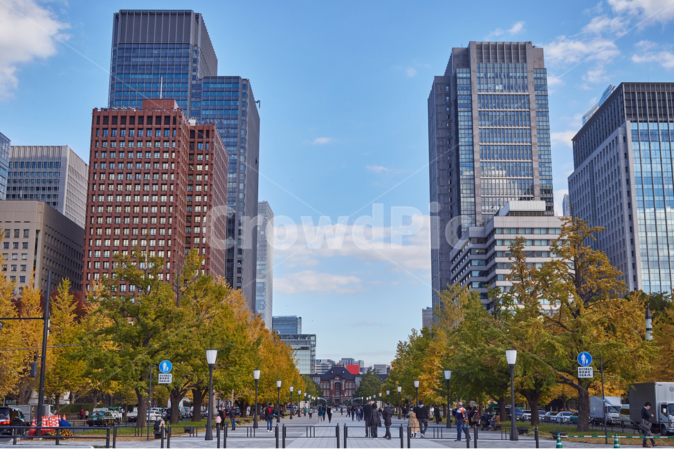 building,건물,urban,어반,city,시티,town,도시,downtown,도심,metropolis,중심지,road,도로,인간,person,사람,보행자,pedestrian,architecture,officebuilding,건축물,사무실건물,도쿄,일본,마루노우치,역앞,도쿄역,도시,풍경,city,landscape