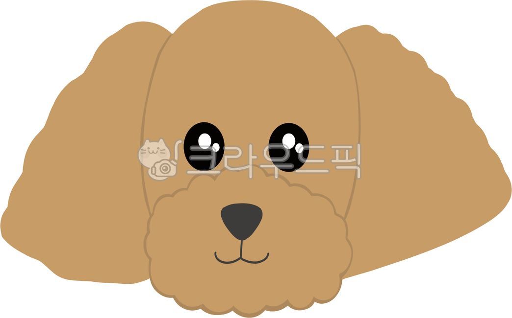 강아지,푸들강아지,귀여운강아지,애완견,동물