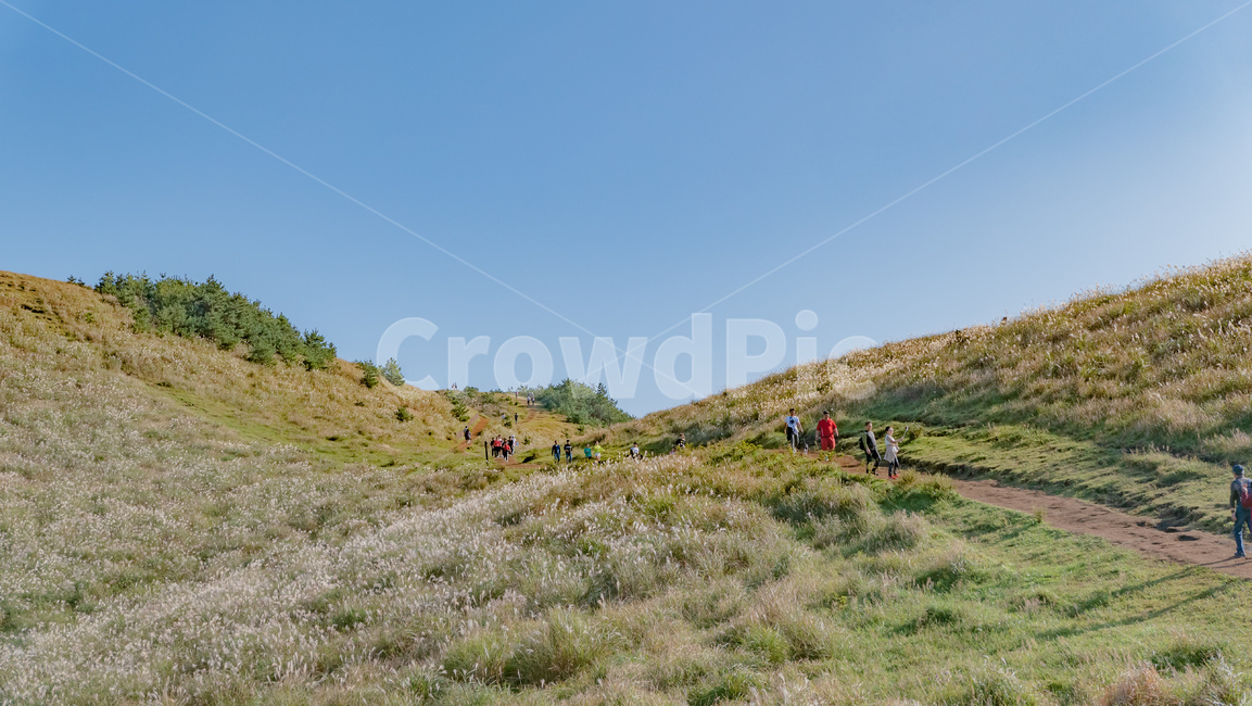 용눈이,용눈이오름,오름,orum,jeju,제주,제주도,제주오름,가을제주,가을,풍경,landscape,nature,outdoors,자연,옥외,human,인간,person,사람,grassland,목초지,field,들,자연,풍경,nature,landscape